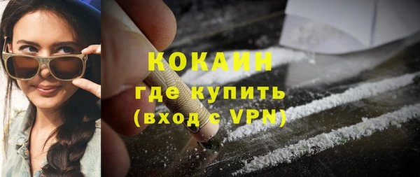 мдпв Няндома