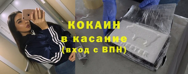 шишки Аркадак