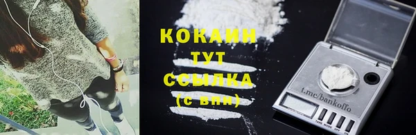шишки Аркадак