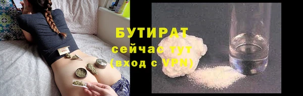 шишки Аркадак