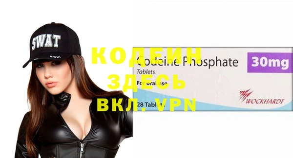 шишки Аркадак