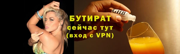 шишки Аркадак