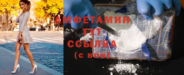 шишки Аркадак