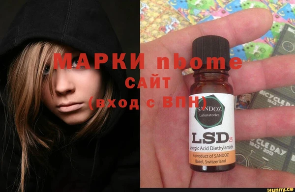 шишки Аркадак