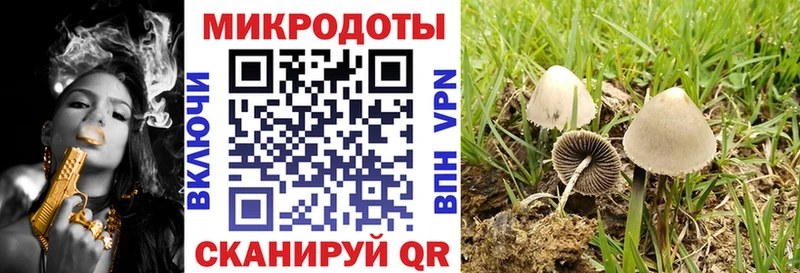 наркотики  Слюдянка  omg ССЫЛКА  Галлюциногенные грибы Psilocybe 